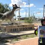 Roadrunner in Ft Stockton, TX